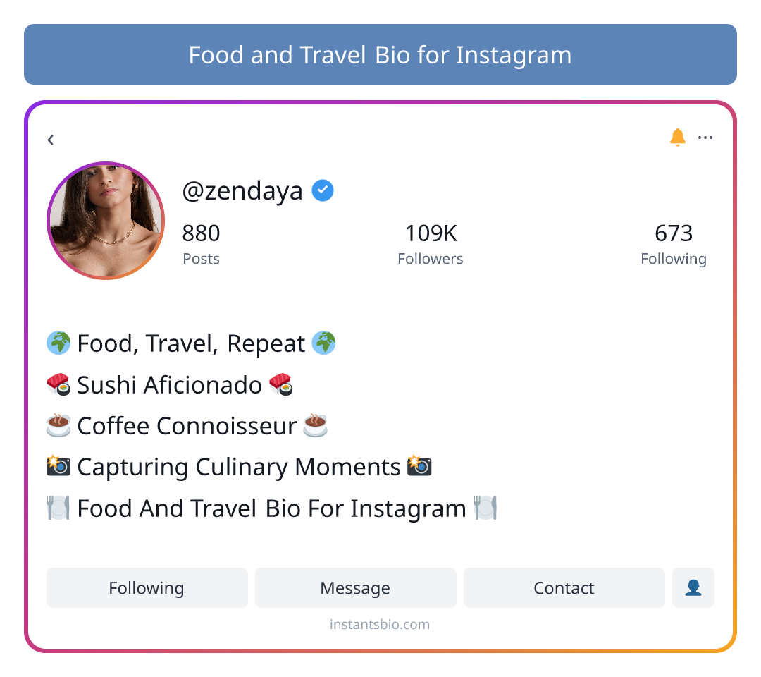 Food and Travel Bio for Instagram