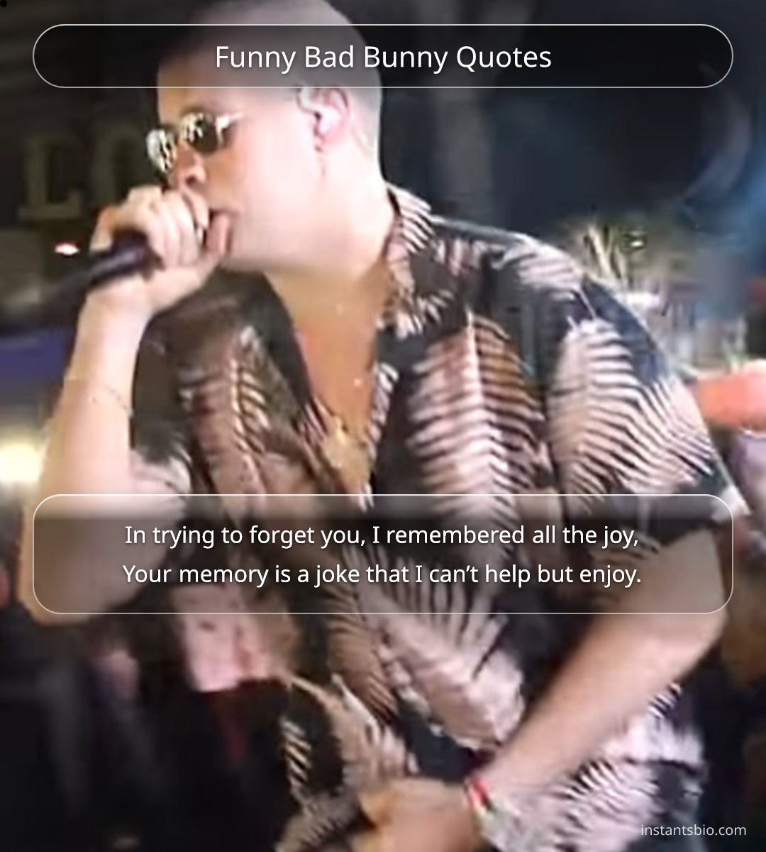 Funny Bad Bunny Quotes
