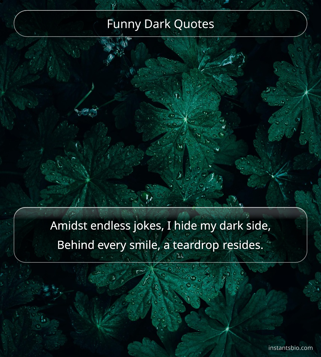 Funny Dark Quotes