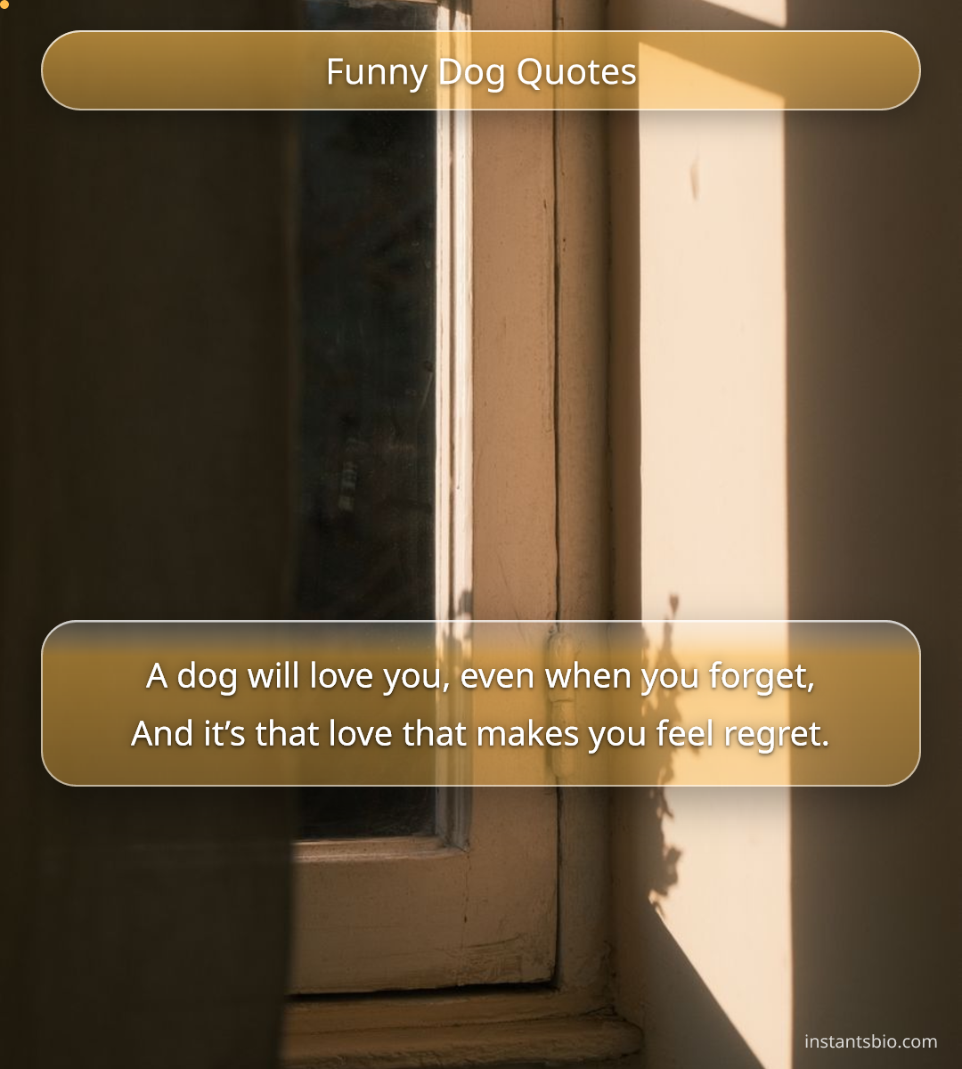 Funny Dog Quotes