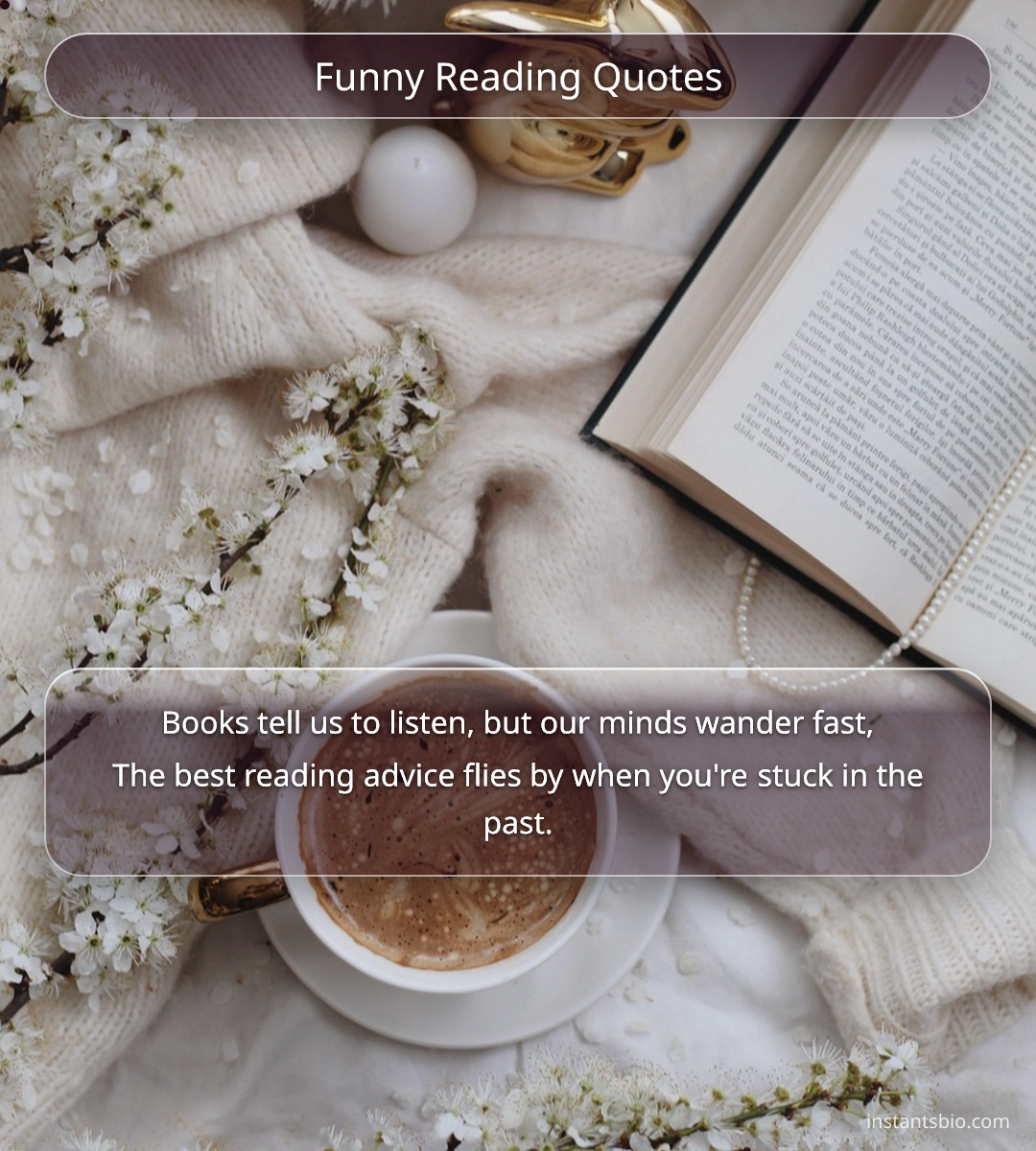 Funny Reading Quotes