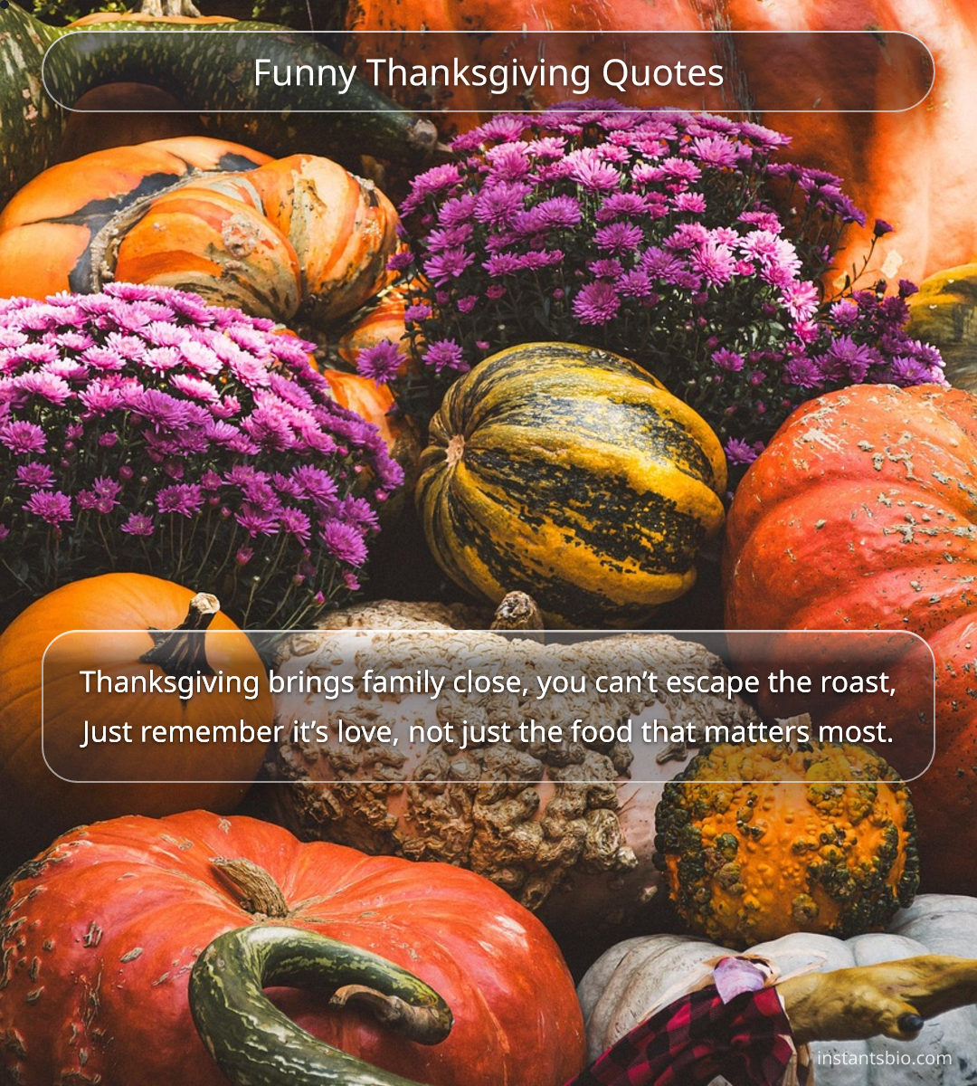 Funny Thanksgiving Quotes