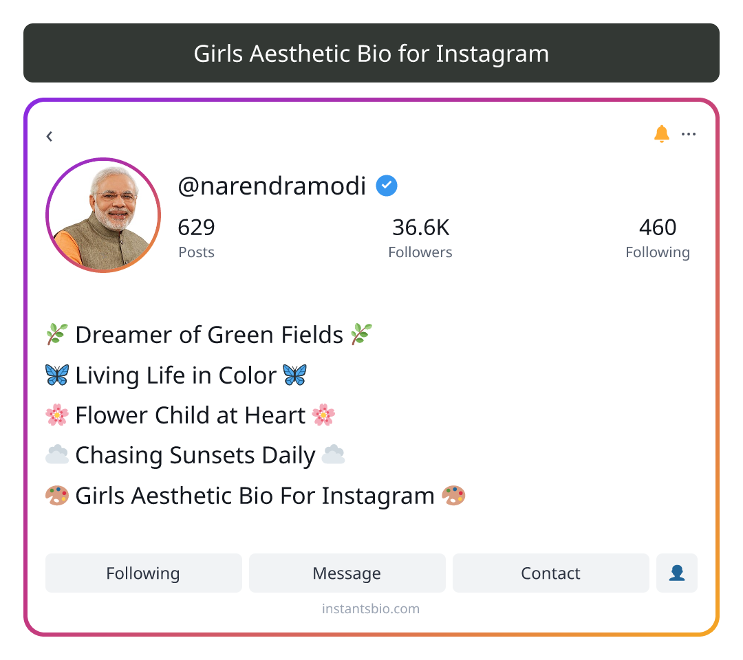 Girls Aesthetic Bio for Instagram