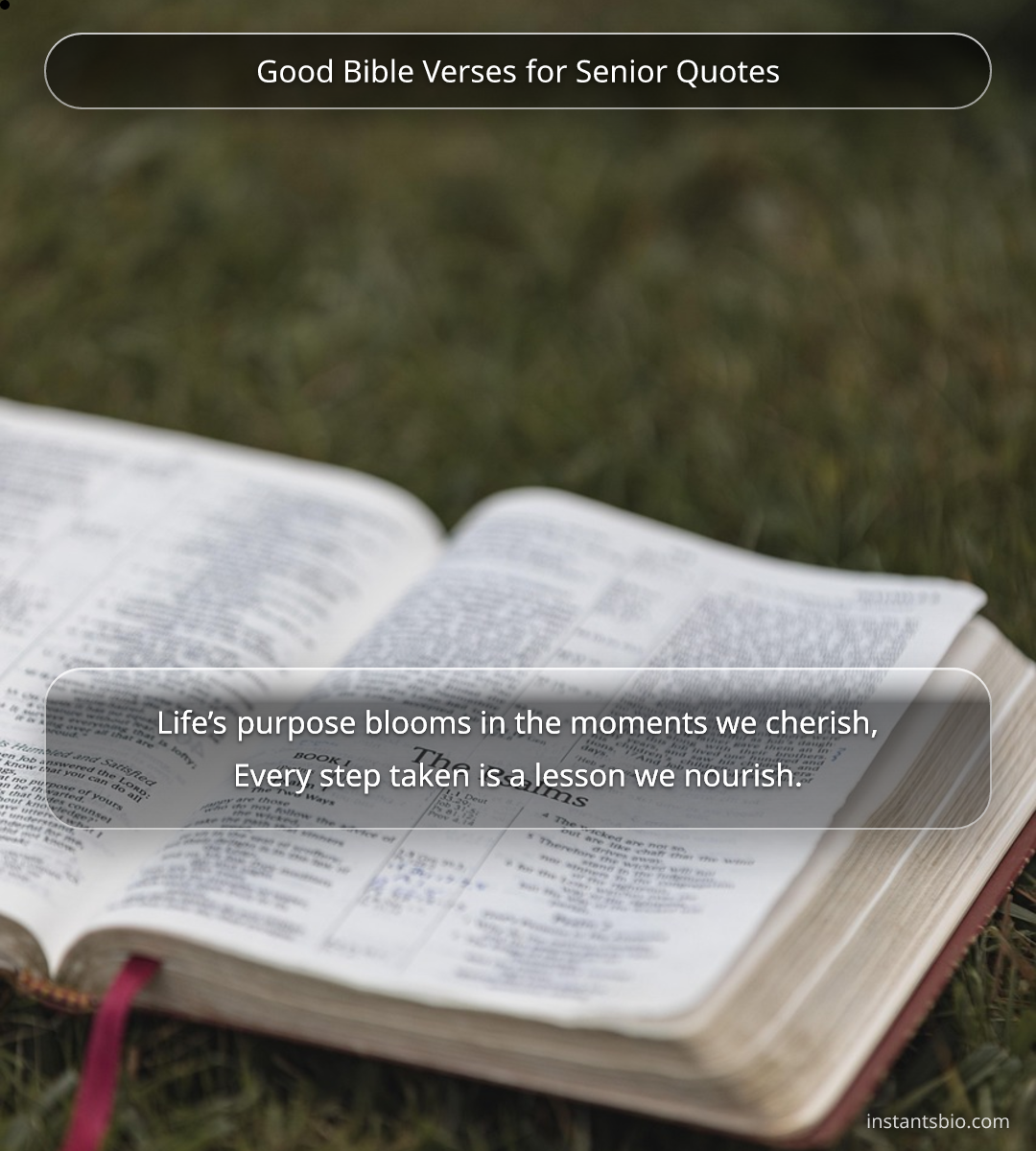 Good Bible Verses for Senior Quotes - good senior quotes