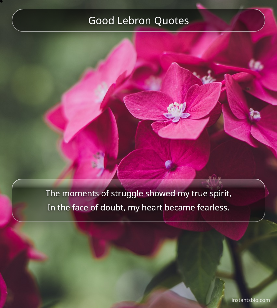 Good Lebron Quotes