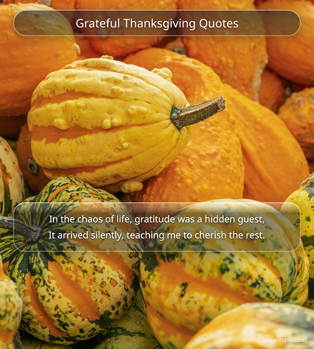 Grateful Thanksgiving Quotes