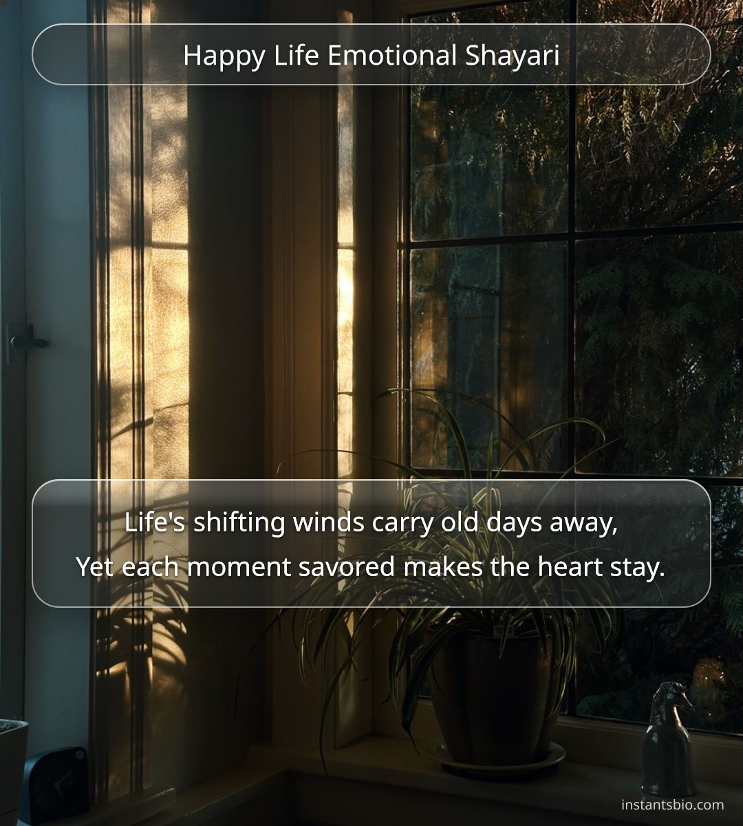 Happy Life Emotional Shayari