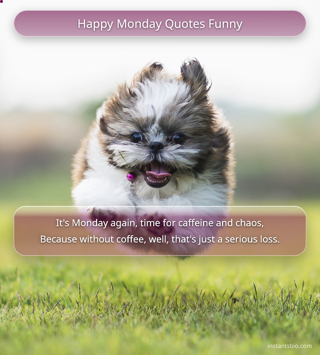 Happy Monday Quotes Funny