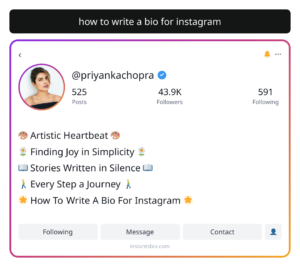 how to write a bio for instagram