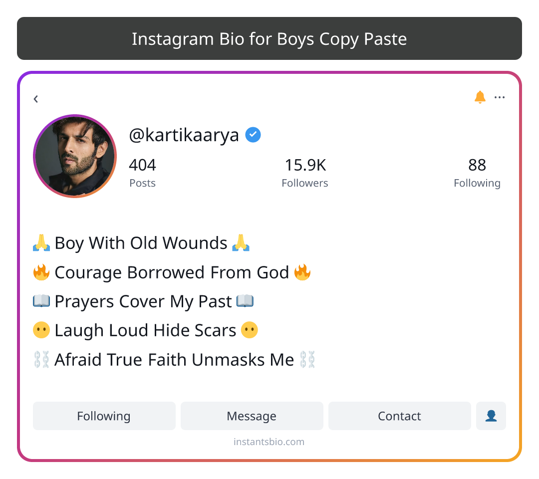 Instagram Bio for Boys Copy Paste