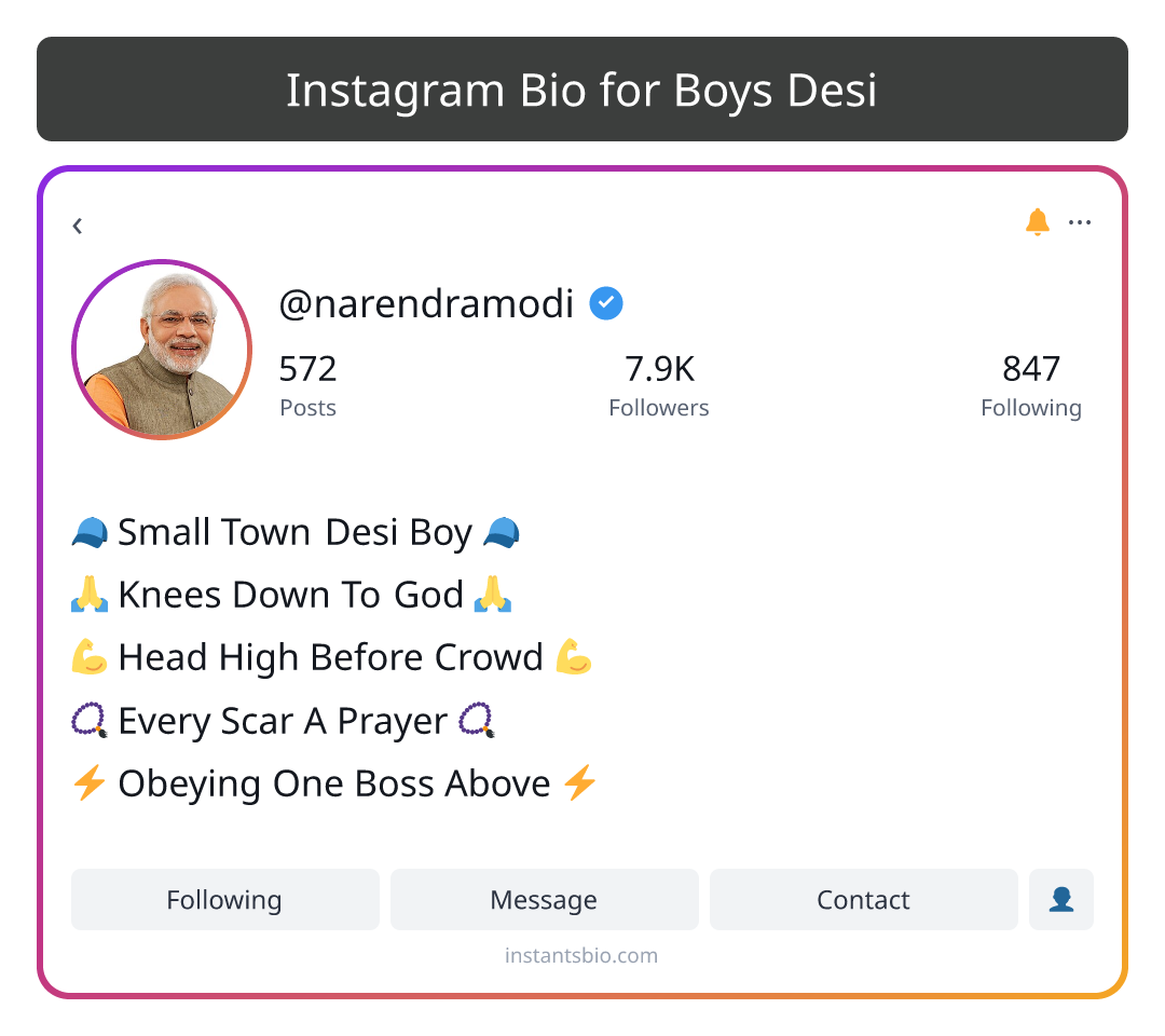Instagram Bio for Boys Desi