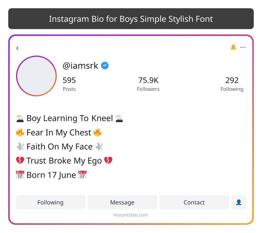 Instagram Bio for Boys Simple Stylish Font
