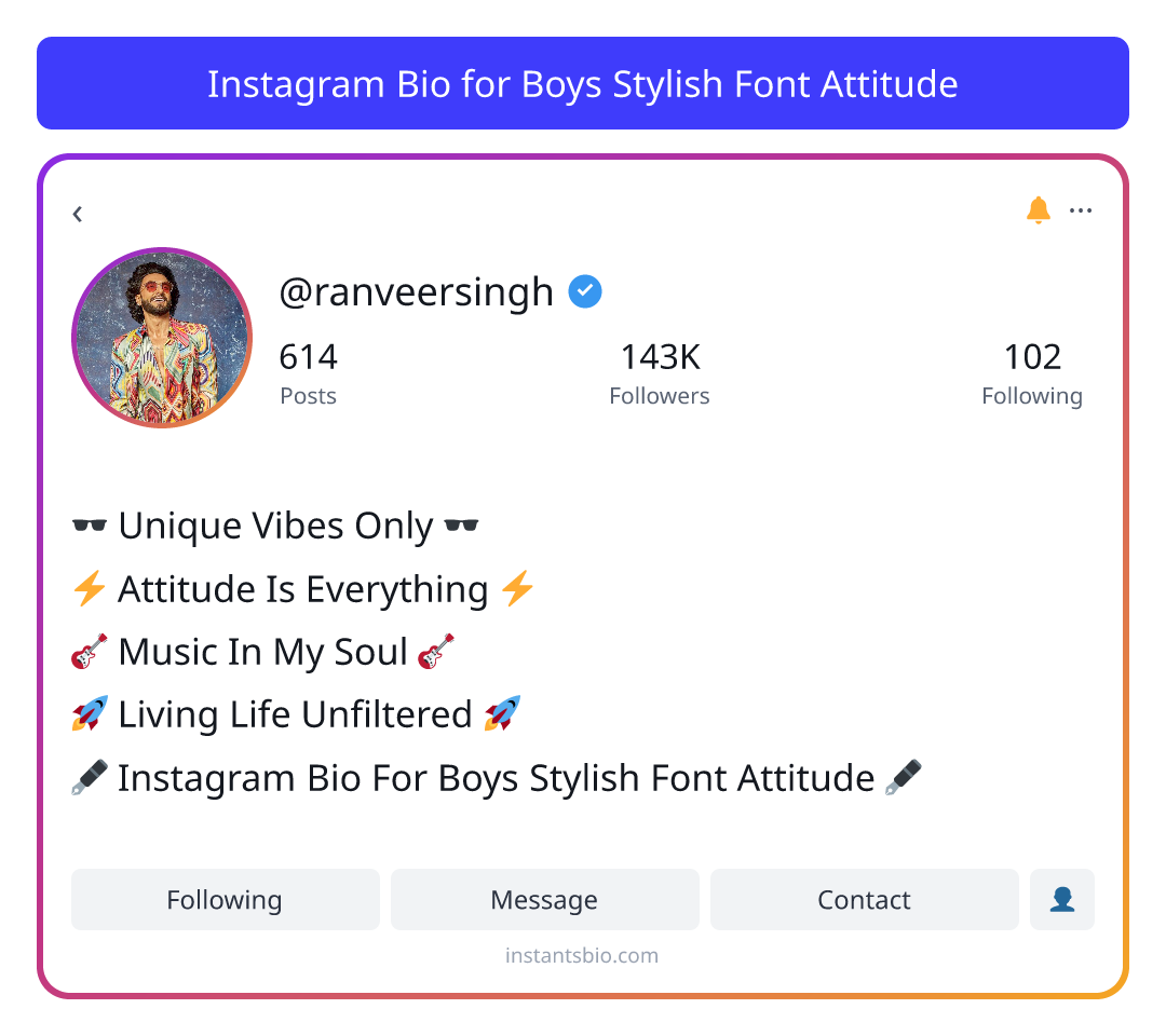 Instagram Bio for Boys Stylish Font Attitude
