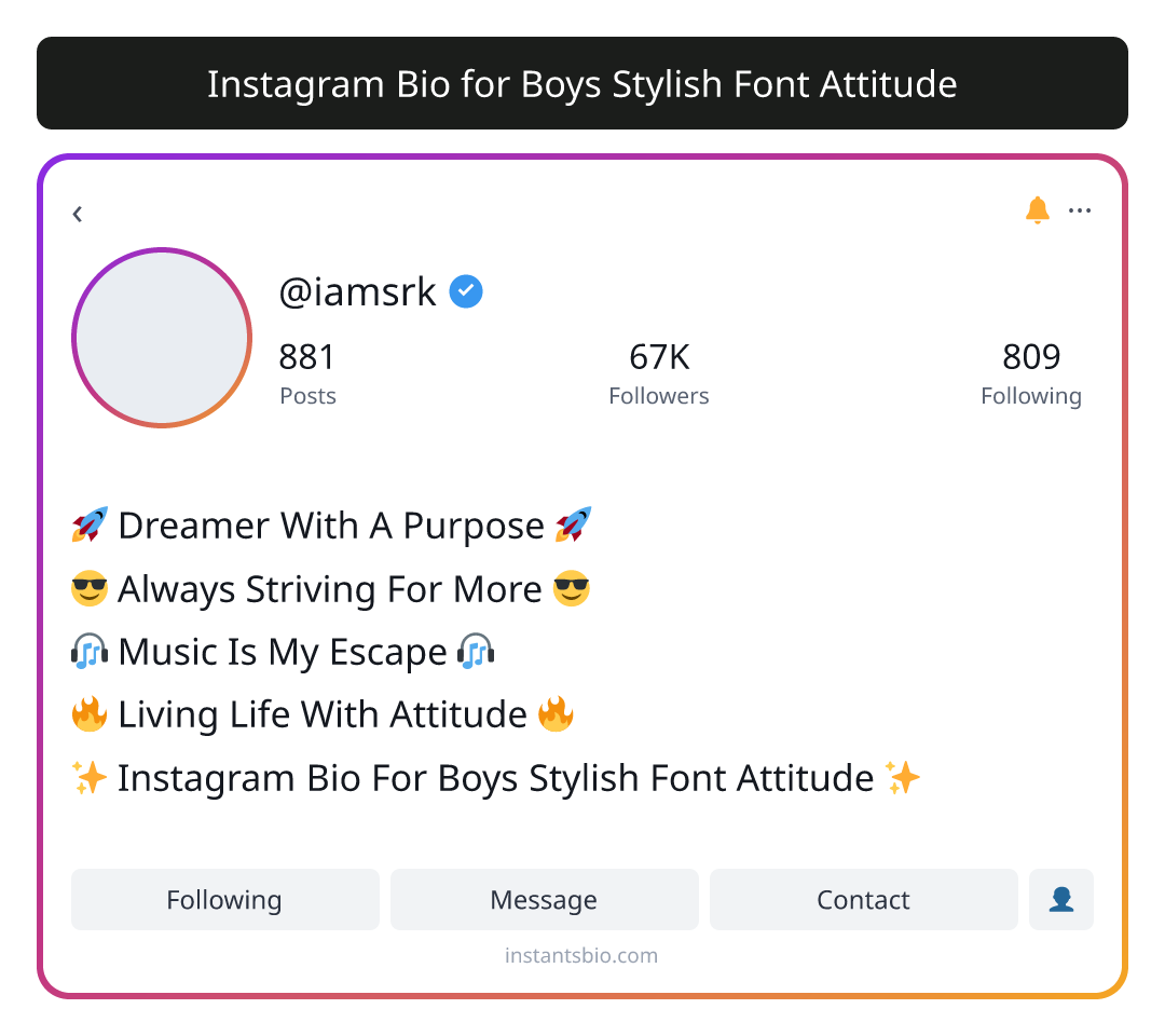 Instagram Bio for Boys Stylish Font Attitude
