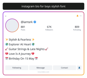 instagram bio for boys stylish font
