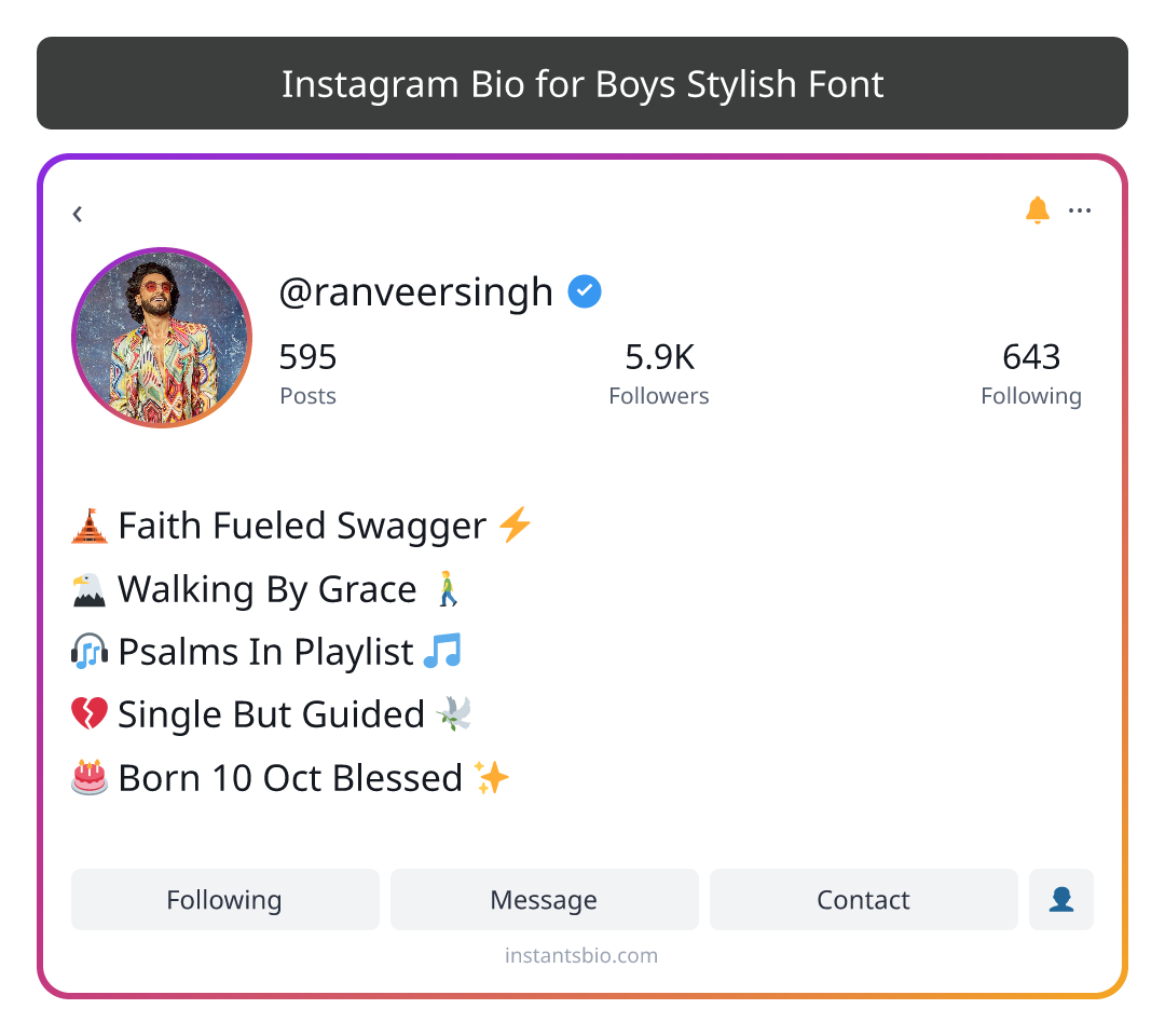 Instagram Bio for Boys Stylish Font