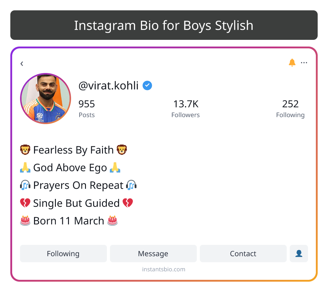 Instagram Bio for Boys Stylish