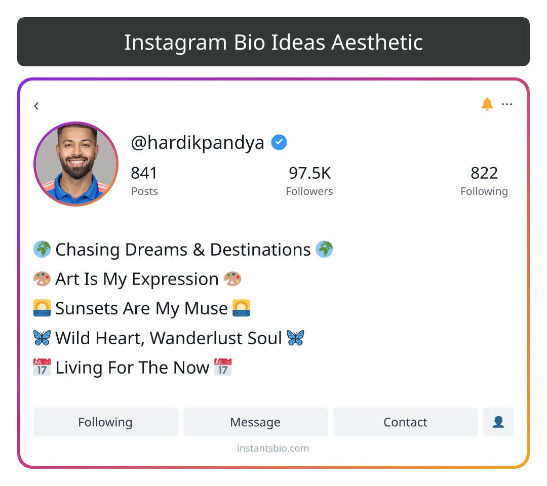 Instagram Bio Ideas Aesthetic