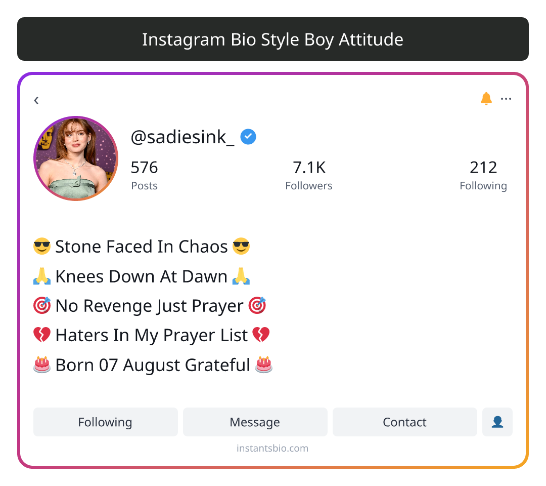 Instagram Bio Style Boy Attitude