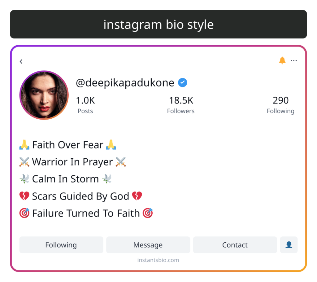 instagram bio style