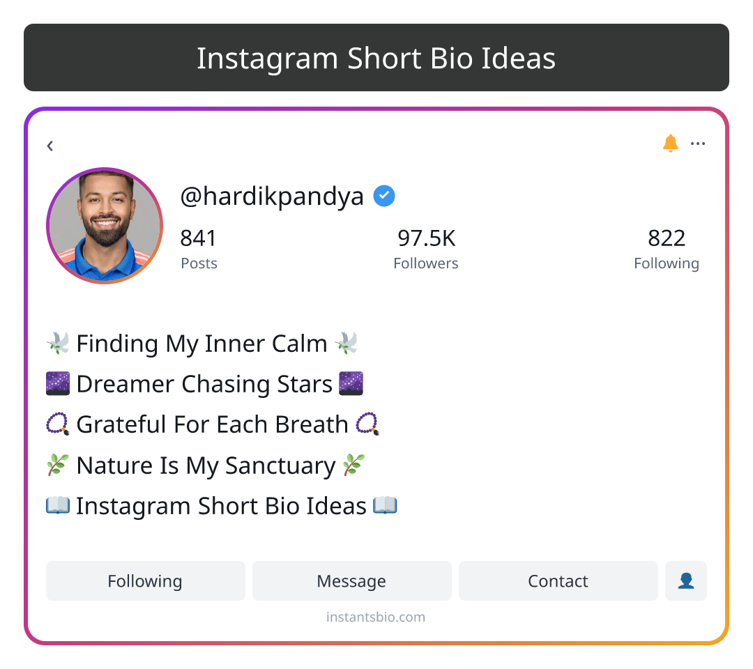 Instagram Short Bio Ideas - instagram bio ideas
