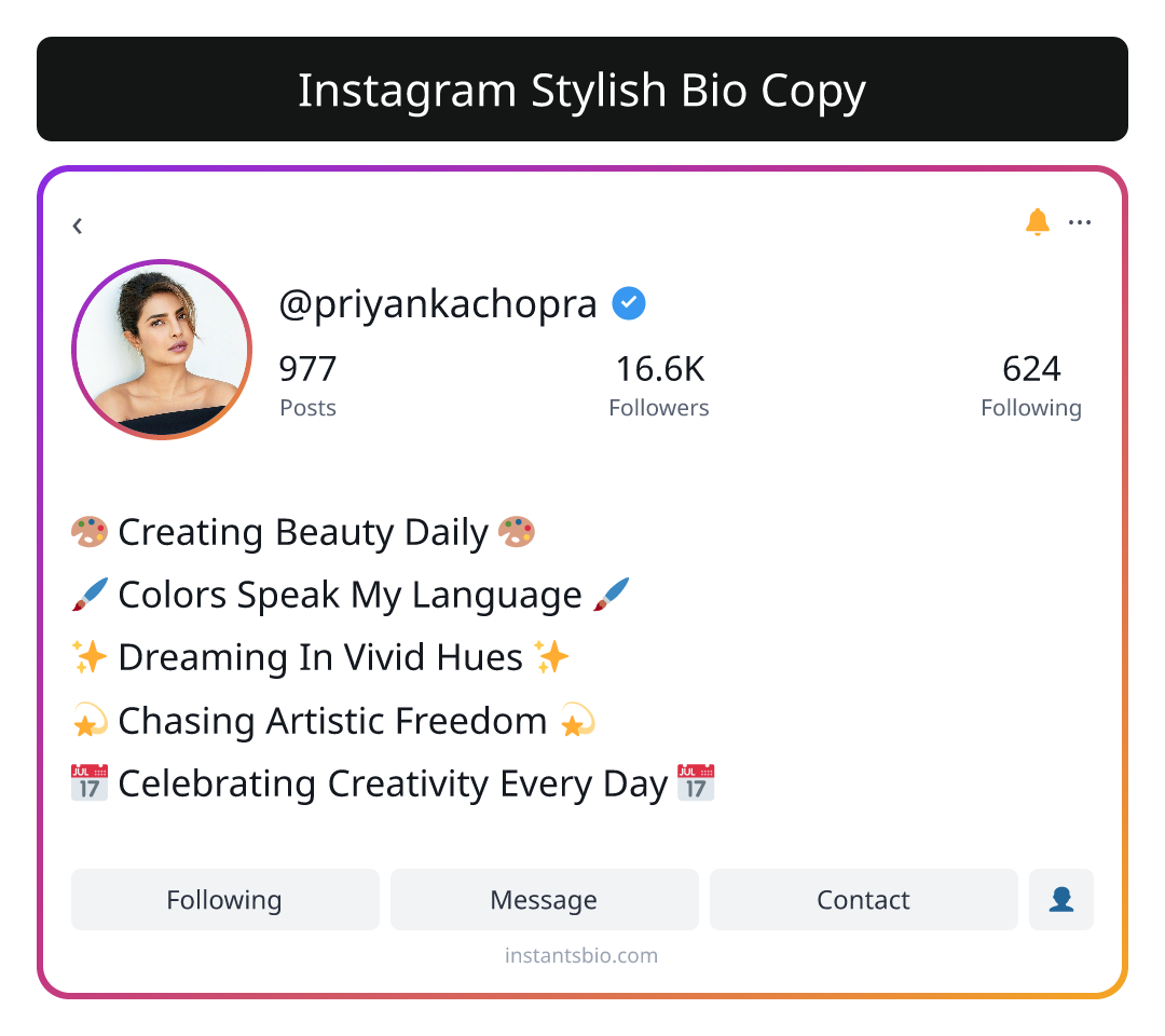 Instagram Stylish Bio Copy