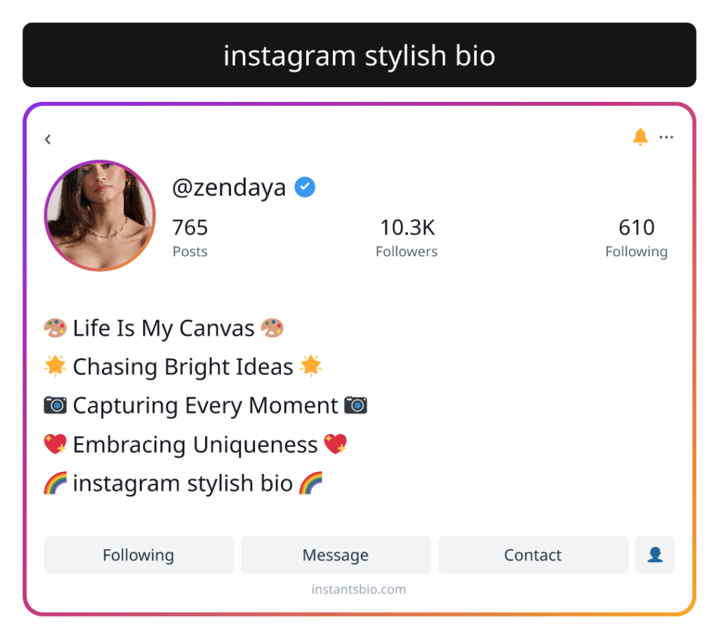 instagram stylish bio