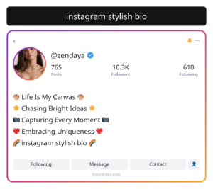 instagram stylish bio
