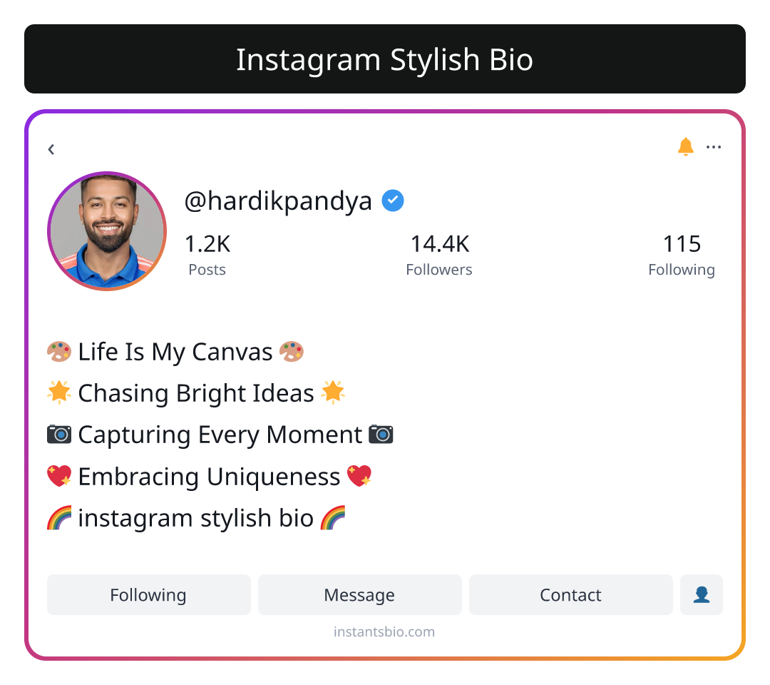 Instagram Stylish Bio