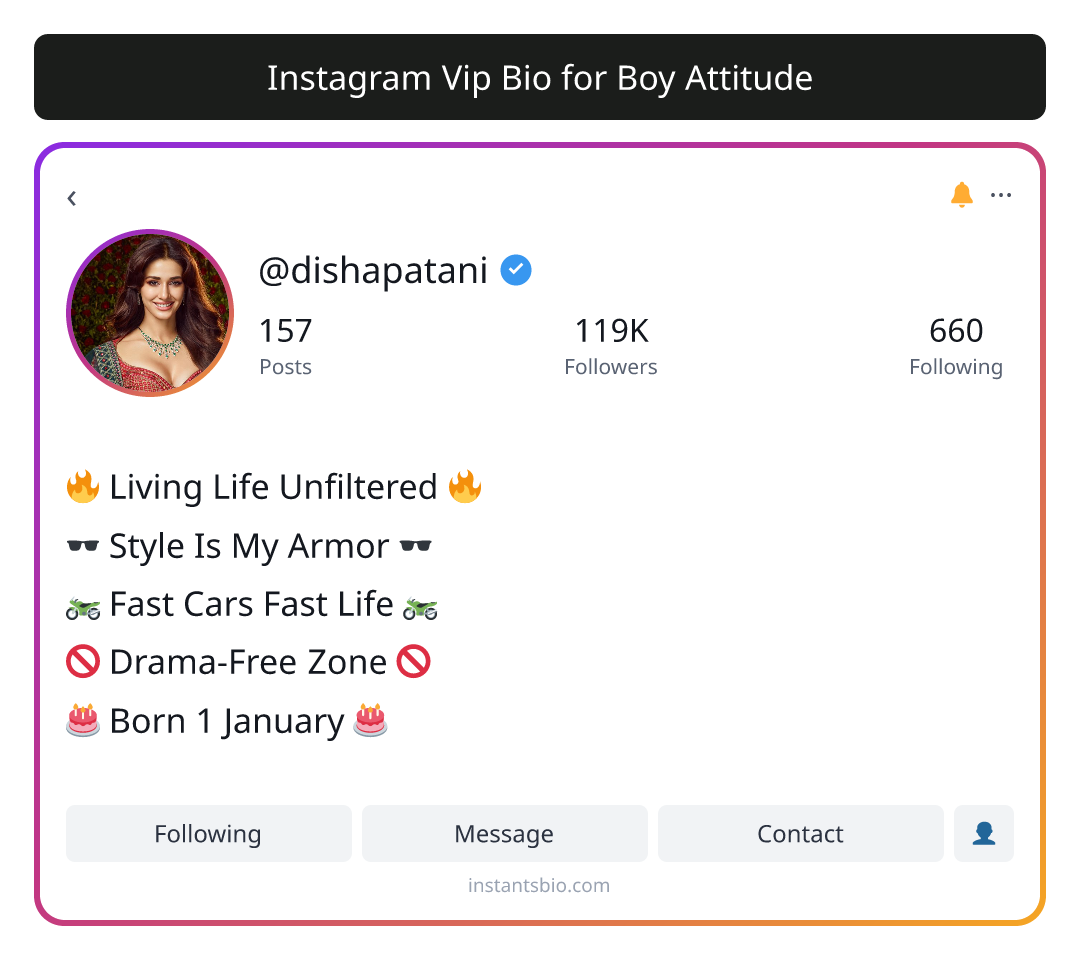 Instagram Vip Bio for Boy Attitude