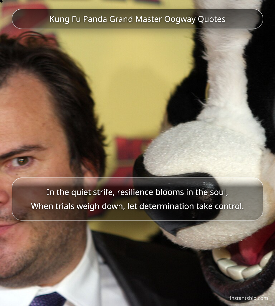 Kung Fu Panda Grand Master Oogway Quotes