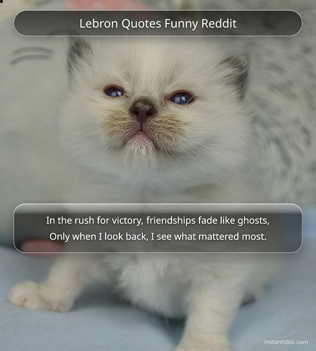 Lebron Quotes Funny Reddit