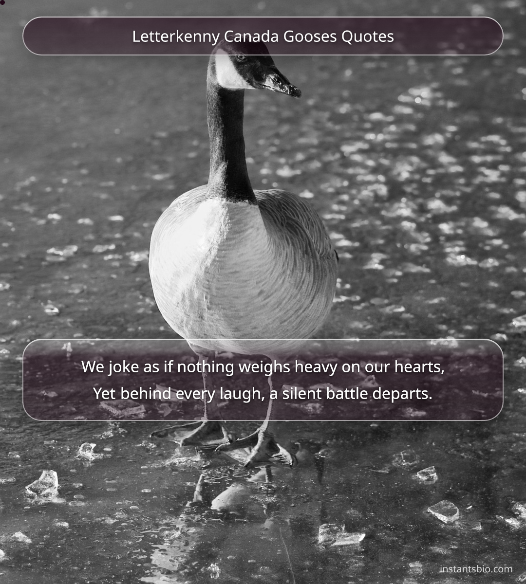 Letterkenny Canada Gooses Quotes - letterkenny quotes