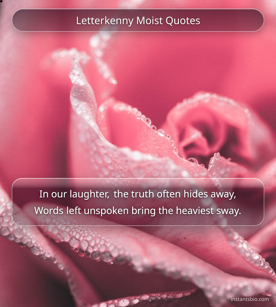 Letterkenny Moist Quotes - letterkenny quotes