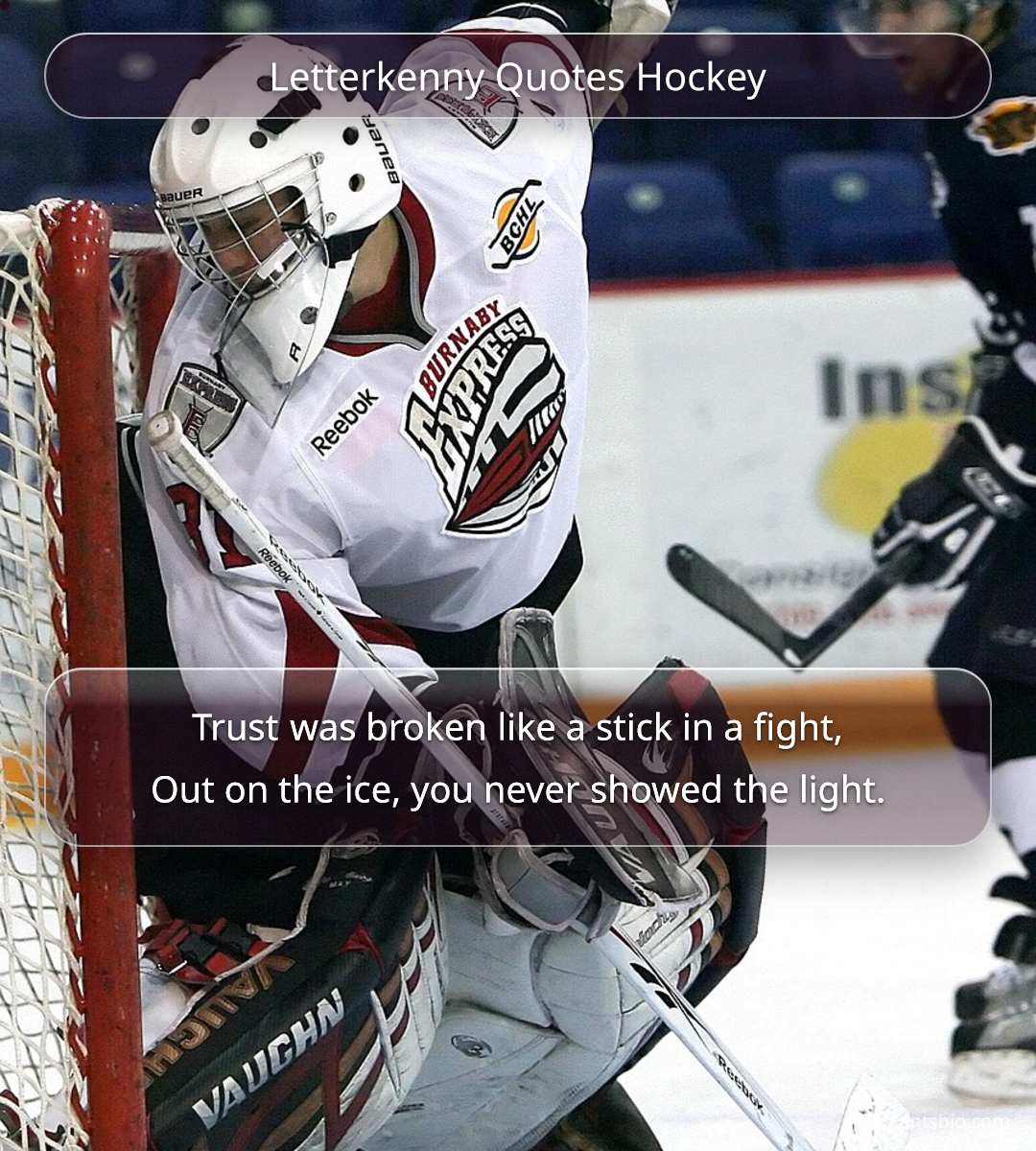 Letterkenny Quotes Hockey