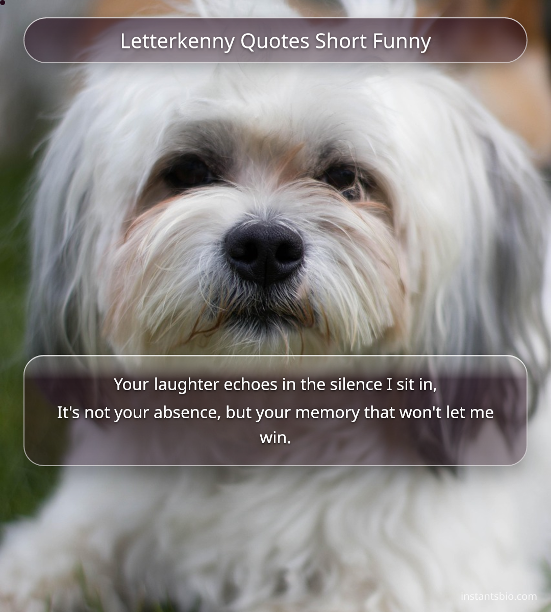 Letterkenny Quotes Short Funny