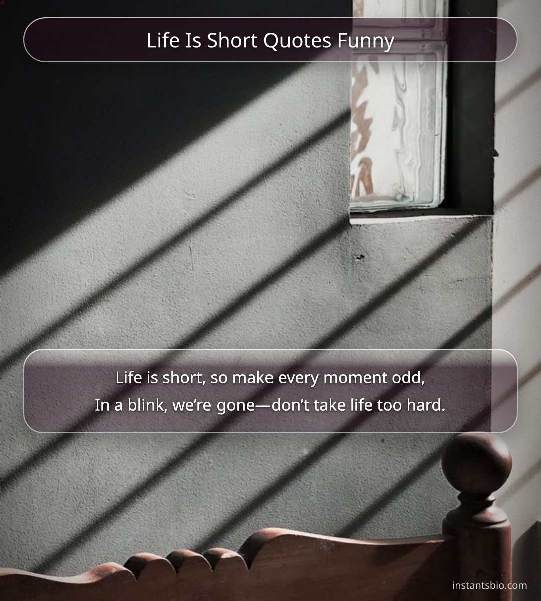 Life Is Short Quotes Funny