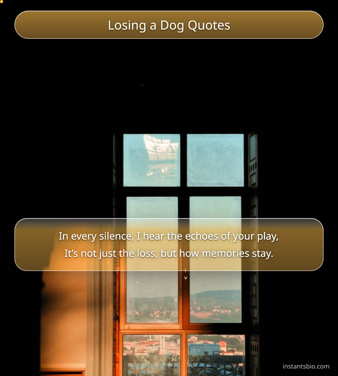 Losing a Dog Quotes