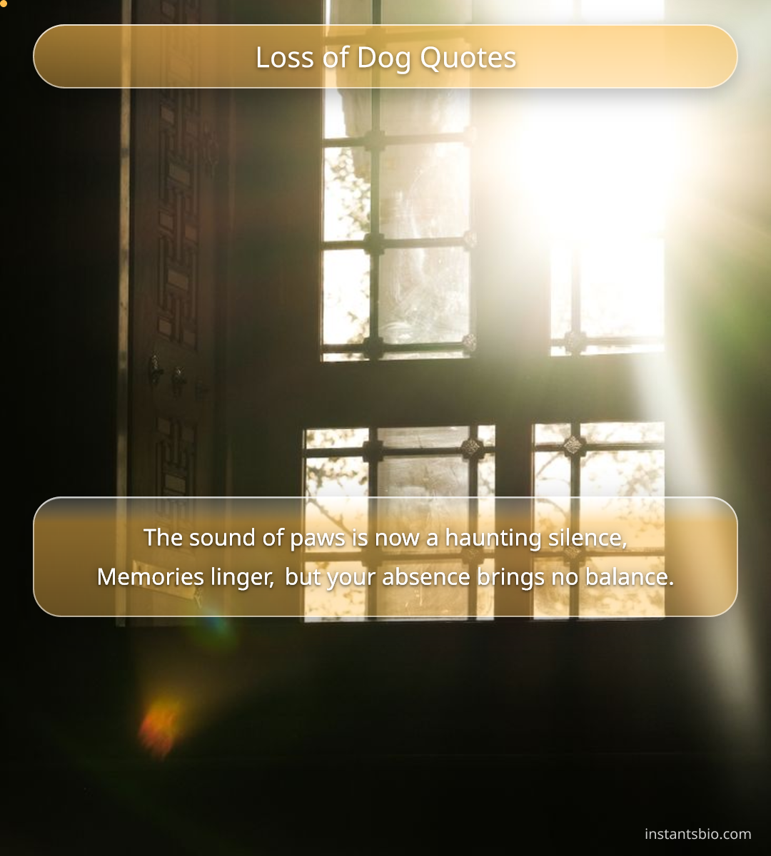 Loss of Dog Quotes
