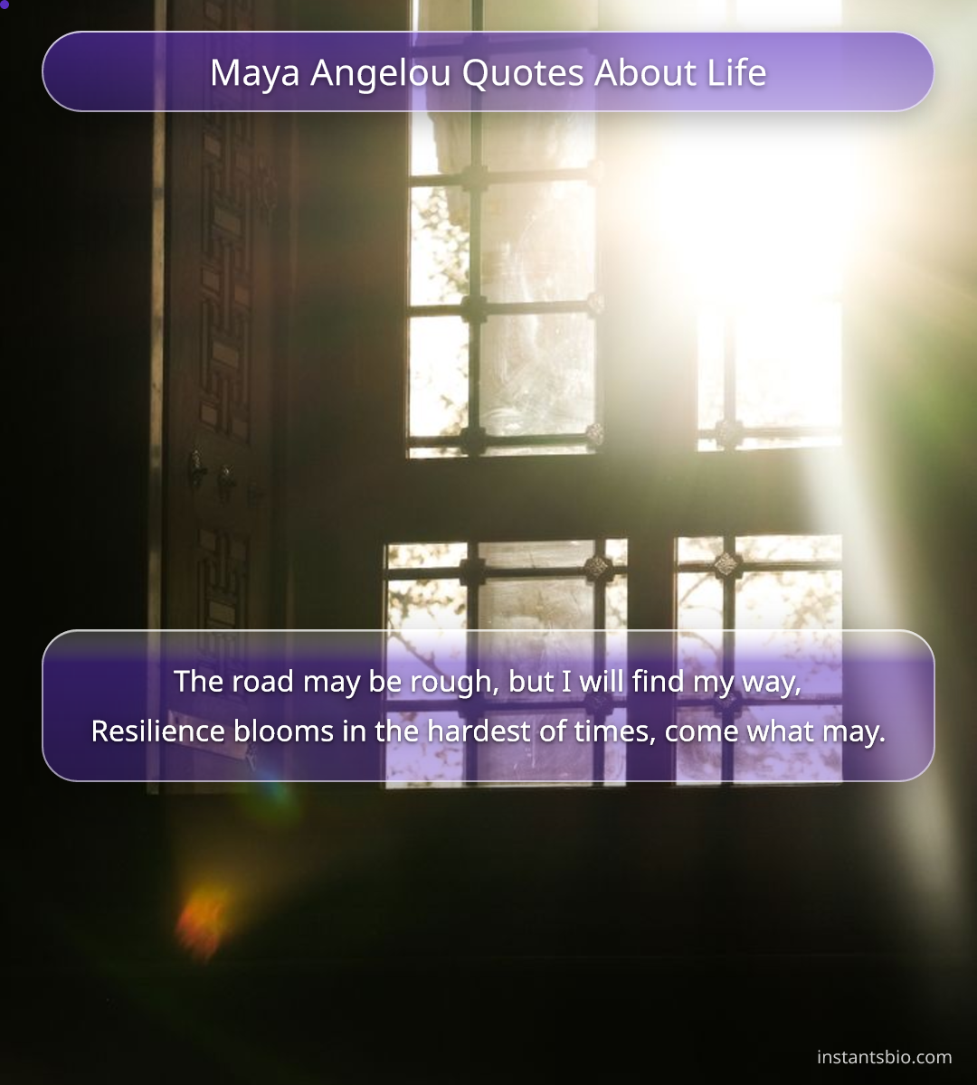 Maya Angelou Quotes About Life