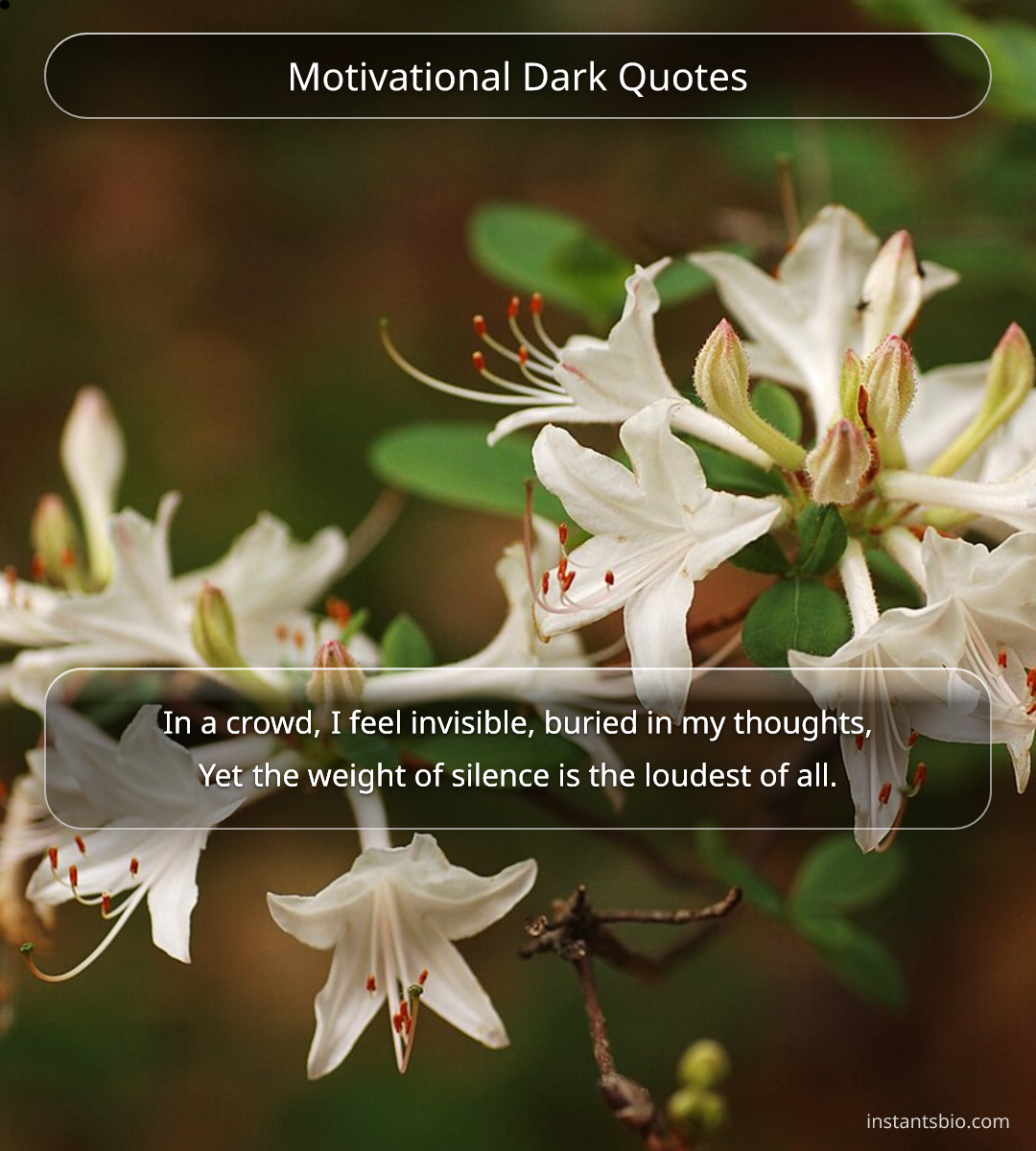 Motivational Dark Quotes