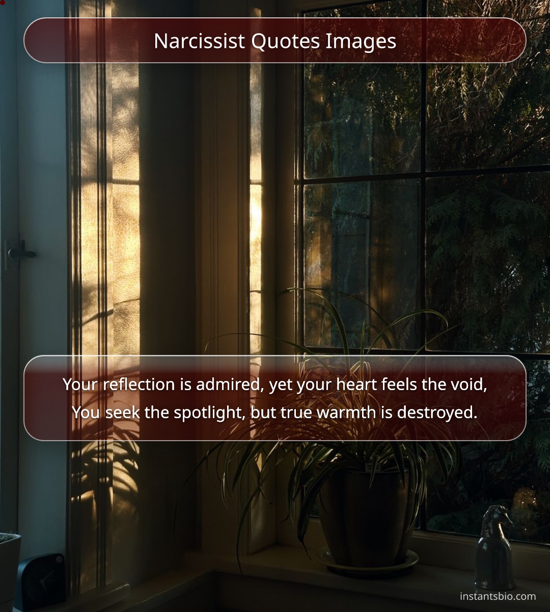 Narcissist Quotes Images