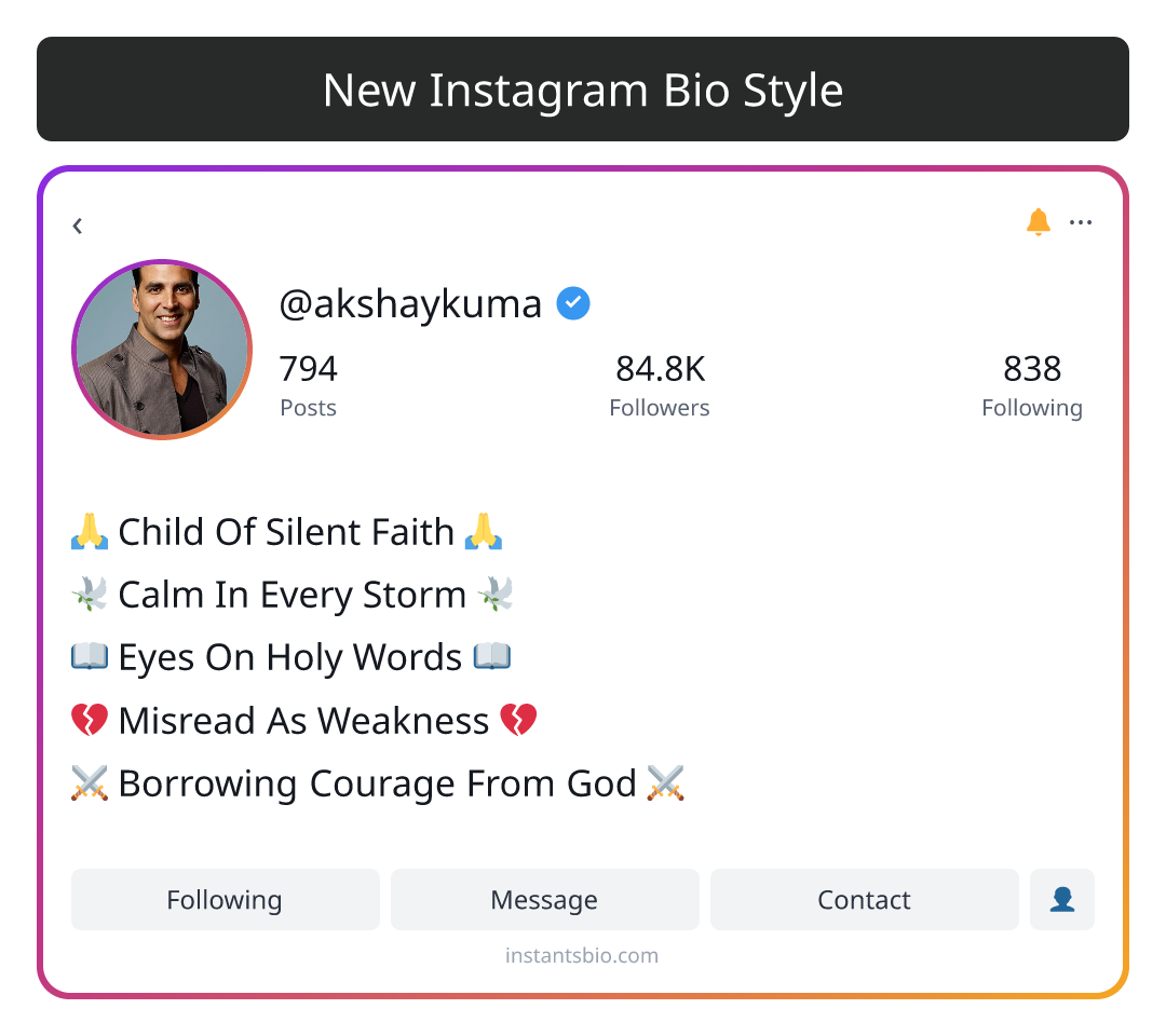 New Instagram Bio Style