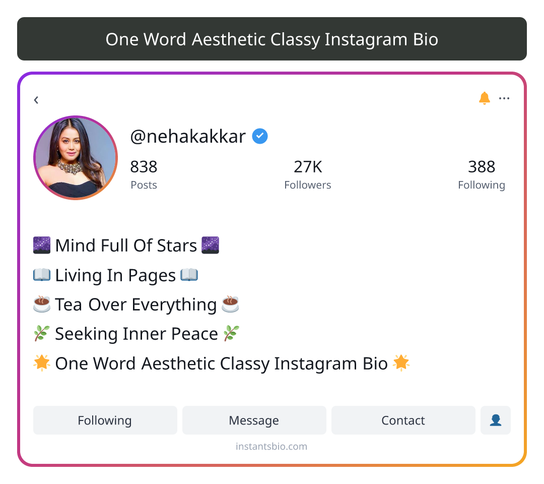 One Word Aesthetic Classy Instagram Bio