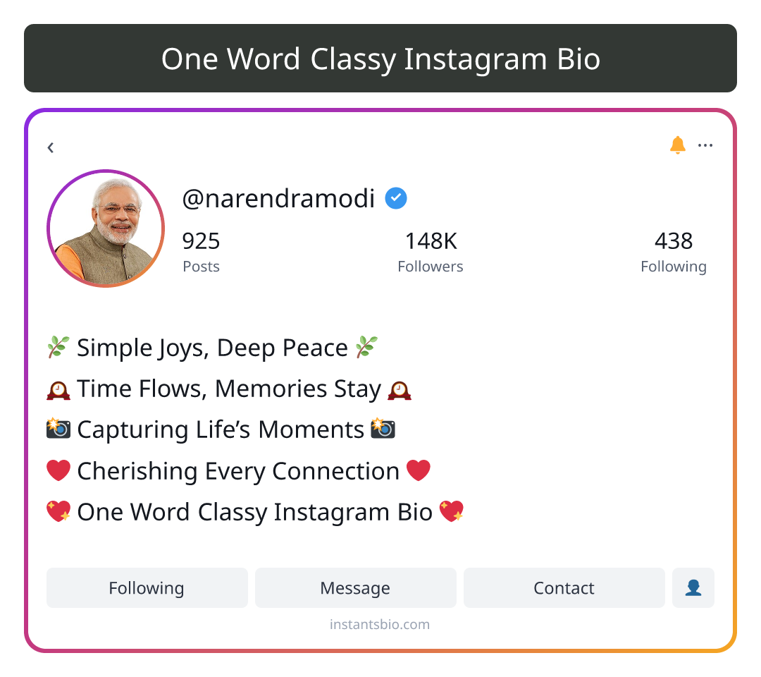One Word Classy Instagram Bio