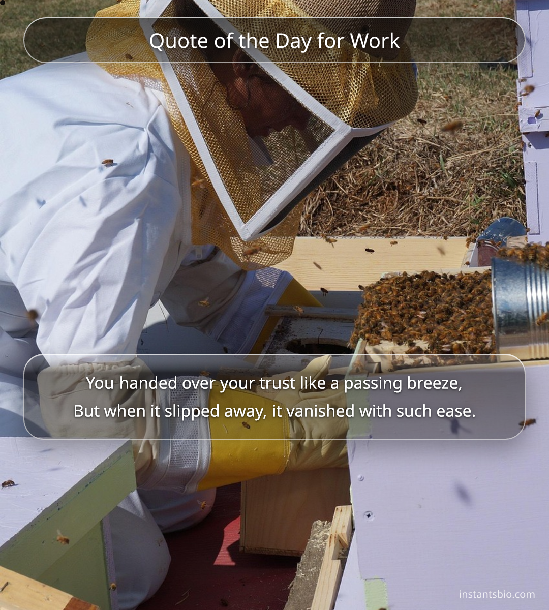 Quote of the Day for Work