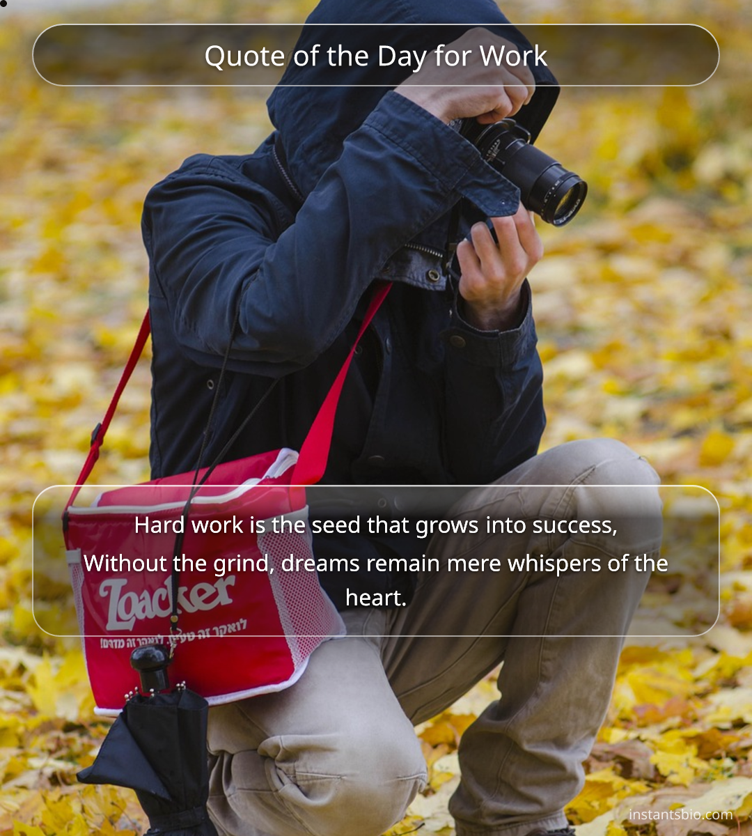 Quote of the Day for Work