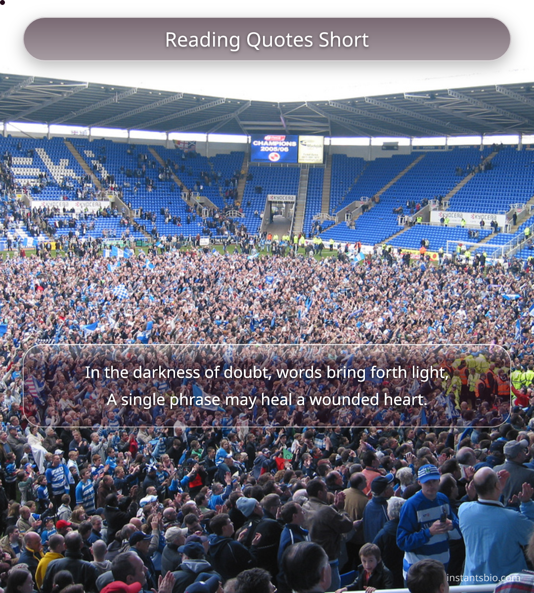 Reading Quotes Short