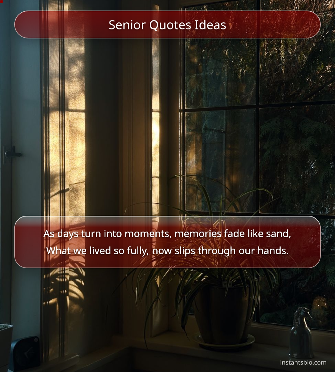 Senior Quotes Ideas