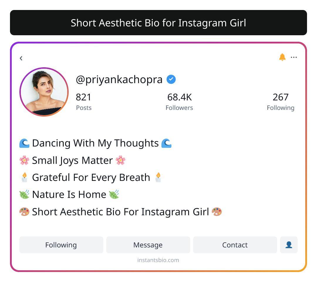 Short Aesthetic Bio for Instagram Girl